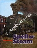 Book cover of Spell of Steam  by TREACY, Eric 